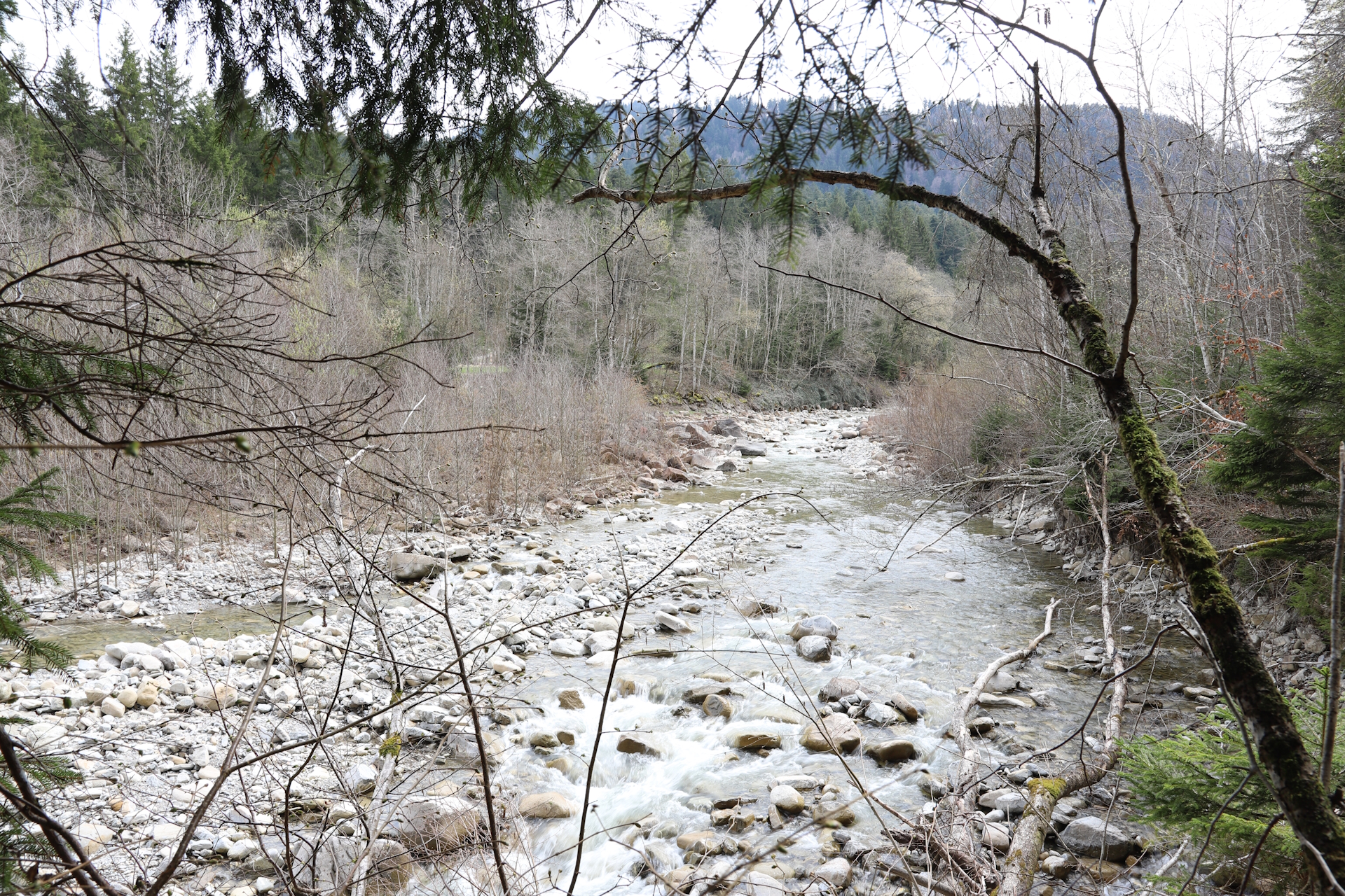 Der wildromantische Bergfluss "Ärgera".